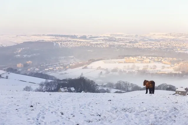 Snowfall in Huddersfield on November 18, 2016. (Photo by Dave Zdanowicz/Rex Features/Shutterstock)