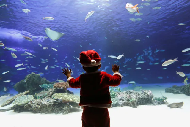 A boy wearing Santa Claus outfit watches a large fish tank at Sunshine Aquarium in Tokyo, Japan, December 18, 2018. (Photo by Issei Kato/Reuters)