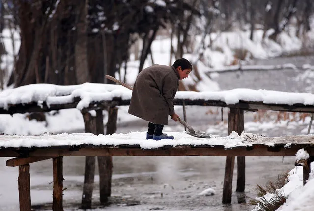 A boy removes snow from a footbridge on a cold winter day in Srinagar January 18, 2017. (Photo by Danish Ismail/Reuters)