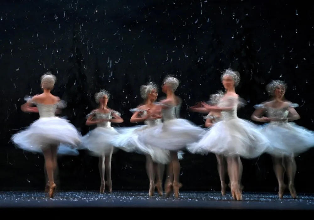 Pictures of the Year 2022, Part 149/163