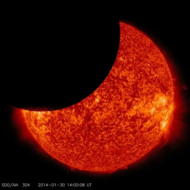 The moon moves between NASA's Solar Dynamics Observatory, or SDO, and the sun, giving the observatory a view of a partial solar eclipse from space beginning at 0831 EST (1331 GMT) on January 30, 2014. Such a lunar transit happens two to three times each year. This one lasted two and one half hours, which is the longest ever recorded.  When the next one will occur is as of yet unknown due to planned adjustments in SDO's orbit. (Photo by Reuters/NASA/SDO)