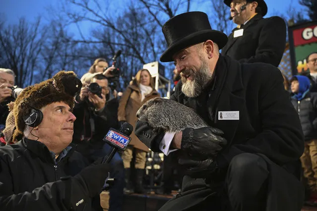 Groundhog Club handler A.J. Dereume holds Punxsutawney Phil, the weather prognosticating groundhog, as he is interviewed by a reporter during the 138th celebration of Groundhog Day on Gobbler's Knob in Punxsutawney, Pa., Friday, February 2, 2024. Phil's handlers said that the groundhog has forecast an early spring. (Photo by Barry Reeger/AP Photo)