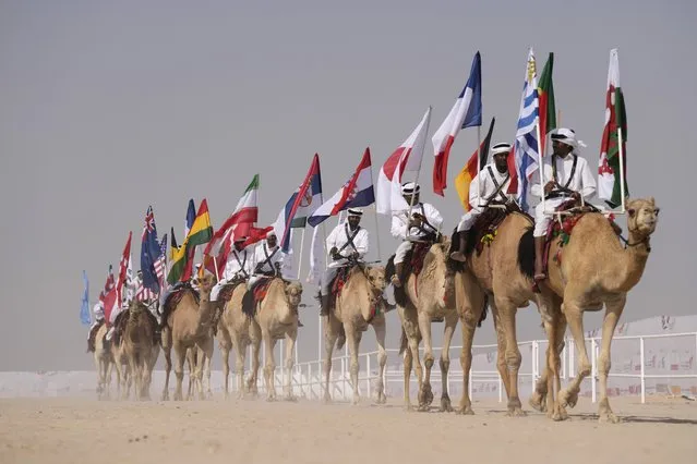 Camel parade with flags during a pageant at the Qatar camel Mzayen Club, in Ash- Shahaniyah, Qatar, Friday, December 2, 2022. (Photo by Alessandra Tarantino/AP Photo)