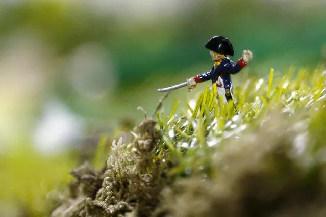 A figurine representing a French officer of the Tirailleurs is seen on a 40-square-metre miniature model of the June 18, 1815 Waterloo battlefield, in Diest, Belgium, in this picture taken on April 29, 2015. (Photo by Francois Lenoir/Reuters)