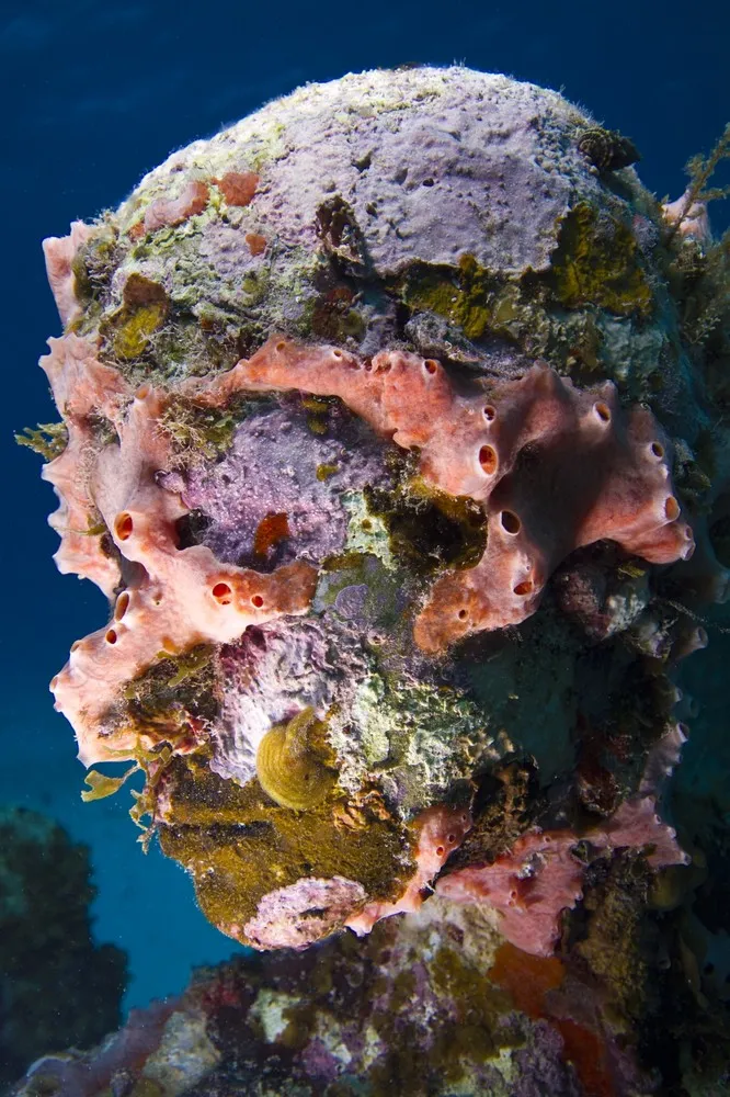 Underwater Sculpture, Part 1: “The Silent Evolution”