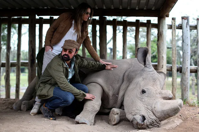 Evgeny Alexandrovich Lebedev is the London-based Russian owner of Lebedev Holdings Ltd, which owns the Evening Standard, the Independent and the patron of the Giants Club Summit and British actress and model Elizabeth Jane Hurley stroke a northern white rhino, only three of its kind left in the world, ahead of the Giants Club Summit of African leaders and others on tackling poaching of elephants and rhinos, Ol Pejeta conservancy near the town of Nanyuki, Laikipia County, Kenya, April 28, 2016. (Photo by Siegfried Modola/Reuters)