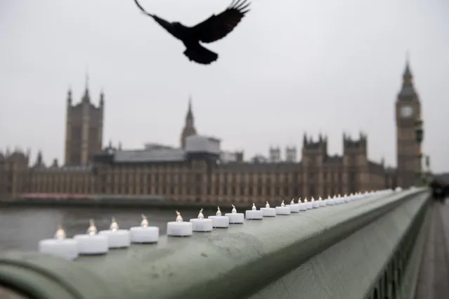 A bird flies over electronic candles left in tribute on Westminster Bridge opposite the Houses of Parliament in central London on March 24, 2017 two days after the March 22 terror attack on the British parliament and Westminster Bridge. At least four people were killed and 40 injured after being run over and stabbed in a lightning attack at the gates of British democracy attributed by police to “Islamist-related terrorism”. (Photo by Chris J. Ratcliffe/AFP Photo)