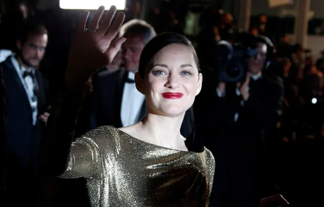 Cast member Marion Cotillard poses following the screening of the film “Mal de pierres” (From the Land of the Moon) in competition at the 69th Cannes Film Festival in Cannes, France, May 15, 2016. (Photo by Eric Gaillard/Reuters)