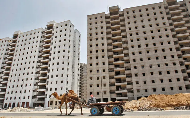 A man drives a cart mounted on a camel past an under construction residential complex on the outskirts of Ahmedabad, India June 1, 2016. (Photo by Amit Dave/Reuters)