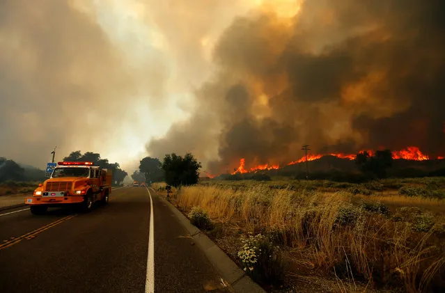 Firefighters move to try and head off a fast moving wildfire as it burns near Potero, California, U.S. June 20, 2016. (Photo by Mike Blake/Reuters)