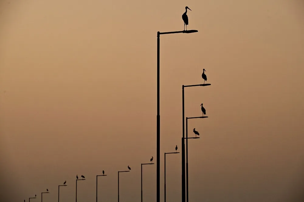 Some Photos: Silhouettes