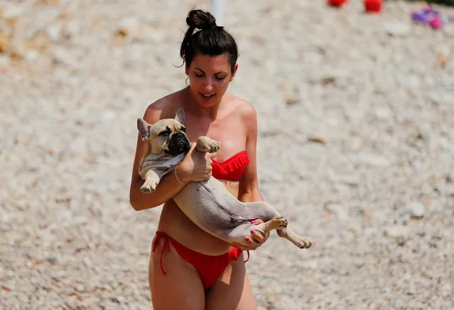 A women is pictured with her dog at dog beach and bar in Crikvenica, Croatia, July 12, 2016. (Photo by Antonio Bronic/Reuters)