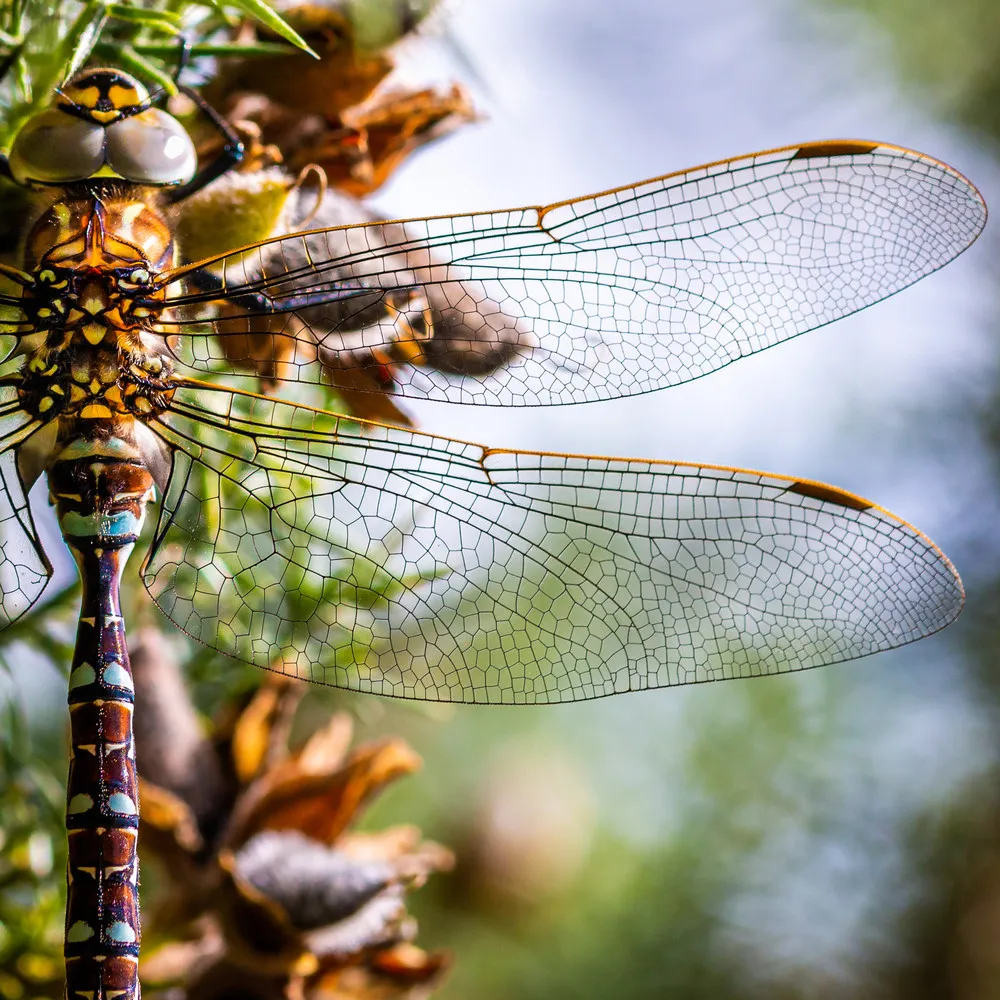 UK National Parks Photography Competition 2020