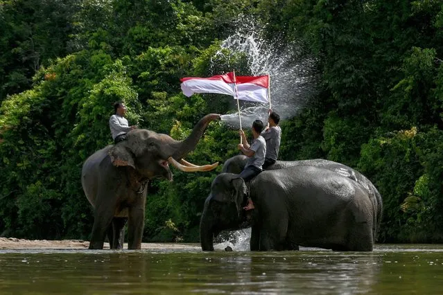 Mahouts hold Indonesian national flags atop Sumatran elephant wades in a river during World Elephant Day and ahead of celebrations to mark Indonesia's Independence Day on August 17, at the Conservation Response Unit (CRU) program in Sampoiniet, in Indonesia's Aceh province, on August 12, 2022. (Photo by Chaideer Mahyuddin/AFP Photo)