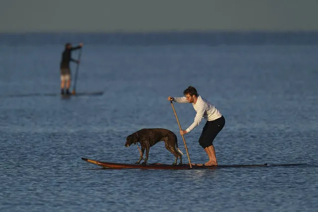 A paddle boarder is seen with his dog at Mordialloc beach, Thursday, April 9, 2020. Victoria's harsher social distancing laws started with a ban on all but the most basic outdoor activities. (Photo by Michael Dodge/AAP Image)