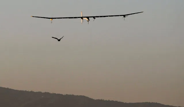A bird flies along with the Solar Impulse as it approaches the runway for a landing following a test flight at Moffett Field in Mountain View, California April 19, 2013. (Photo by Robert Galbraith/Reuters)