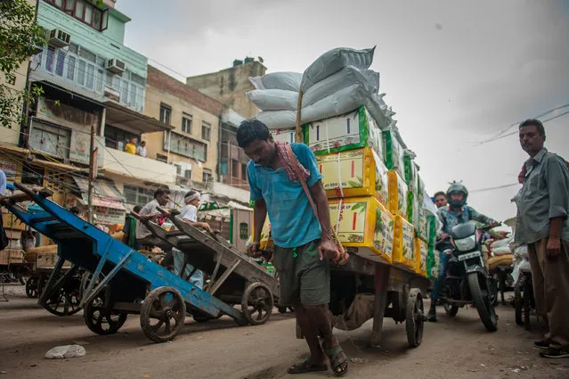 Rickshaw pullers ferry passengers and workers carry goods from factories to shops in the walled city Delhi, India on August 24, 2016. (Photo by Shams Qari/Barcroft Images)