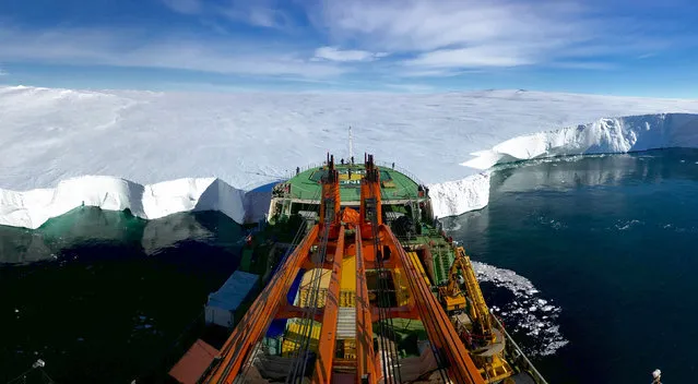 Runner up, Earth Science and Climatology category. Bow first by Giuseppe Suaria. The Russian research vessel Akademik Tryoshnikov leans its bow against the Mertz Glacier’s snout in Eastern Antarctica. The photo was taken moments before deploying Ropos, a remotely operated underwater vehicle, under the glacier tongue to investigate the melting of the ice-sheet after a piece of ice protruding 100km (62 miles) out into the Southern Ocean broke away from the main body of the tongue in 2010. (Photo by Giuseppe Suaria/PA Wire/Royal Society Publishing Photography Competition 2017)