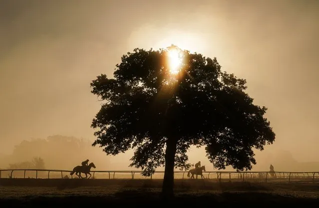 Horses on the gallops at Sam Drinkwater's Granary Stables, Strensham, Worcestershire on Tuesday, October 18, 2022. (Photo by David Davies/PA Images via Getty Images)