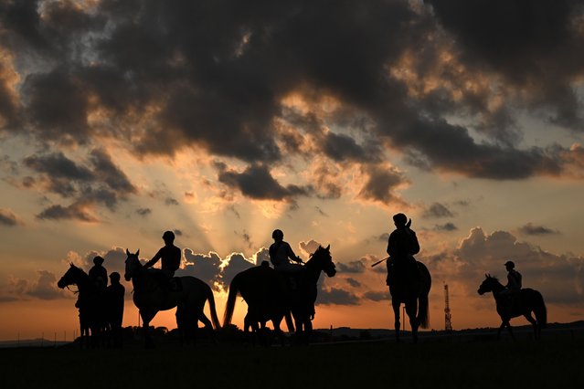 Runners and riders wait to enter the stalls for the 6th race, the Tips For Every Race At raceday-ready.com Handicap, at Brighton Racecourse on May 21, 2025 in Brighton, England. (Photo by Mike Hewitt/Getty Images)
