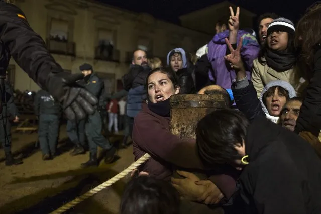 Police officers move to take away animal rights activists tied themselves with a chain in middle of the bull ring, to boicot “Toro de Jubilo” or Fire Bull Festival, in Medinaceli, Spain, Saturday, November 15, 2014. Police arrested some of the activists when they took them out of a bull ring. (Photo by Andres Kudacki/AP Photo)