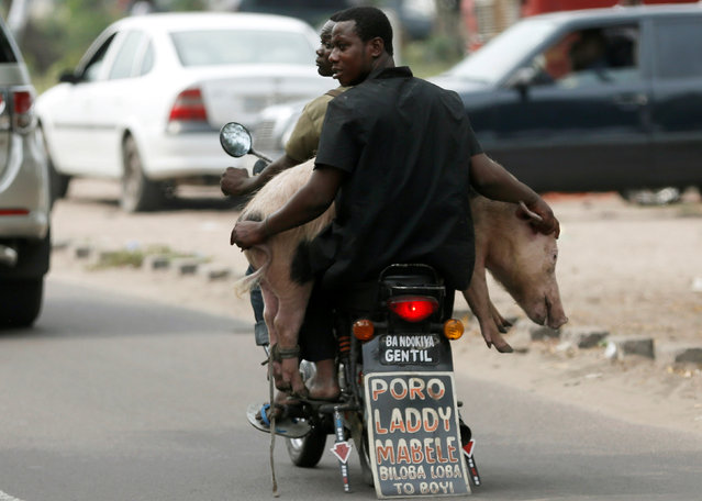 Men transport a pig with a motorbike in Kinshasa, Democratic Republic of Congo, September 28, 2016. (Photo by Goran Tomasevic/Reuters)