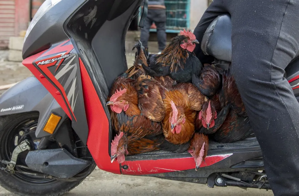 A Look at Life in Nepal