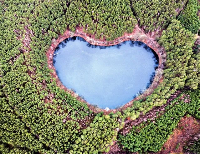 A aerial photo taken with a drone shows Lake Czarne on the border of the municipalities of Miedzyrzecz and Trzciel in western Poland, 13 February 2023. The small-sized water reservoir lake is characterized by its unusual heart shape which is only visible from an elevated position such as a bird's-eye view. (Photo by Lech Muszynski/EPA/EFE)
