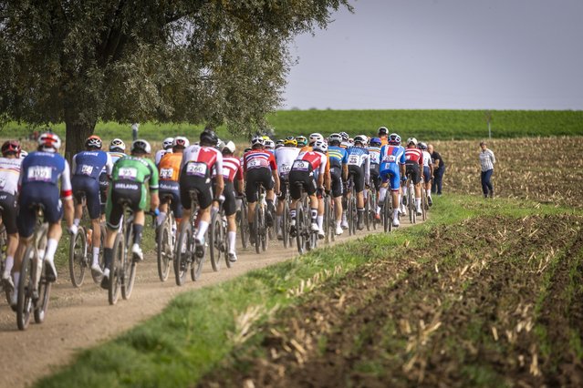 The peloton in action during the Men Elite race of the UCI Gravel World Championships in Maastricht, Netherlands, 12 October 2025. (Photo by Marcel van Hoorn/EPA)