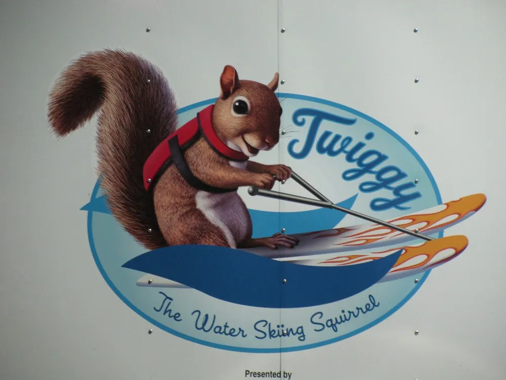 Twiggy the Water Skiing Squirrel