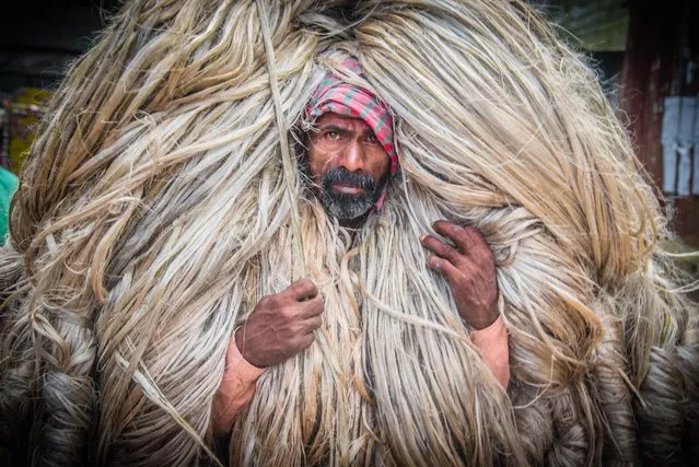 Workers carry huge piles of jute above their heads, making it look like they are wearing enormous wigs in Dhaka on June 7, 2023. The men were transporting bundles of up to 50kg of the material to Bangladesh's biggest jute market in Manikganj. (Photo by Mustasinur Rahman Alvi/ZUMA Press Wire/Rex Features/Shutterstock)
