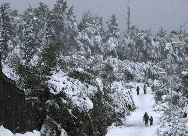 People walk through a park as snow falls in Jerusalem February 20, 2015. (Photo by Sharon Perry/Reuters)