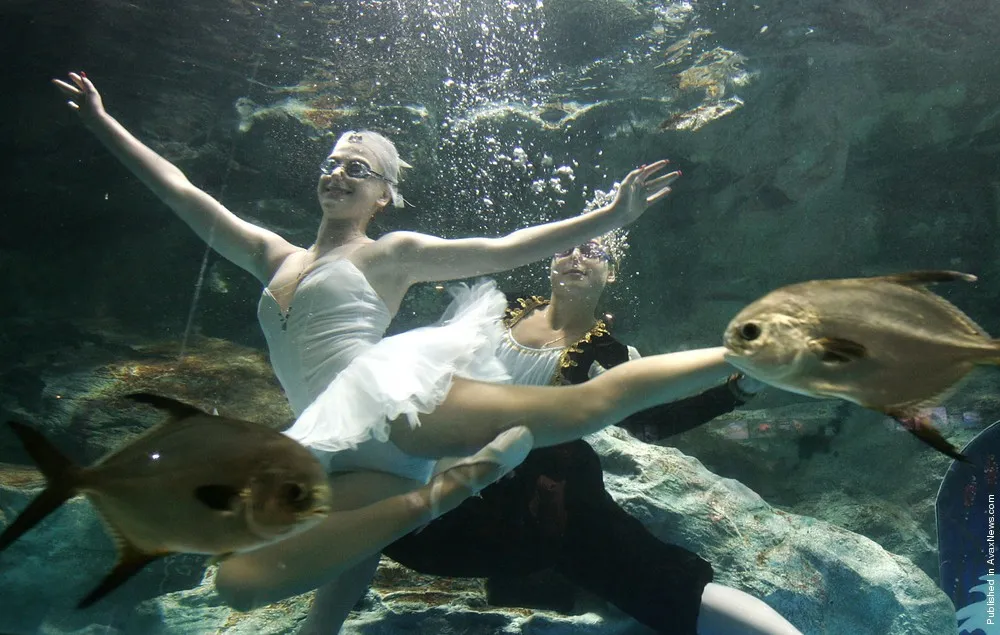 Simply: Underwater Dance