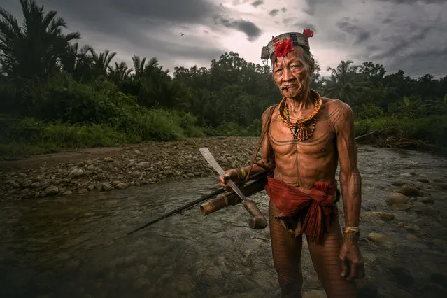 These stunning images document the everyday lives of the men, women and children of the Mentawai tribe taken on July 19, 2014 on the Mentawai Islands, Indonesia. (Photo by Muhamad Saleh Dollah/Barcroft Media)