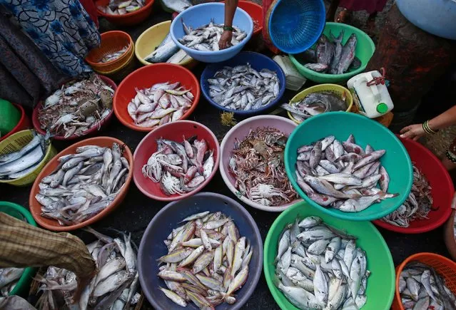Fish and crabs are seen for sale at a wholesale market at a fish harbour in Mumbai, March 16, 2015. (Photo by Danish Siddiqui/Reuters)