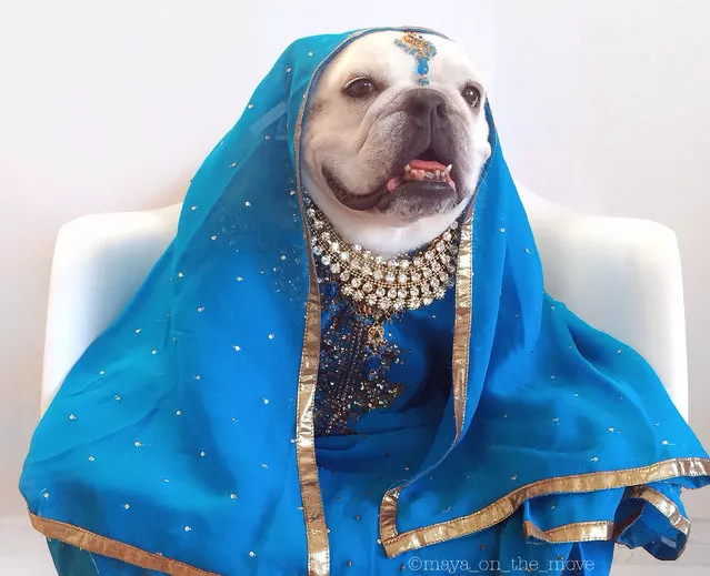 Maya as a bollywood princess. (Photo by Tania Ahsan/Caters News)