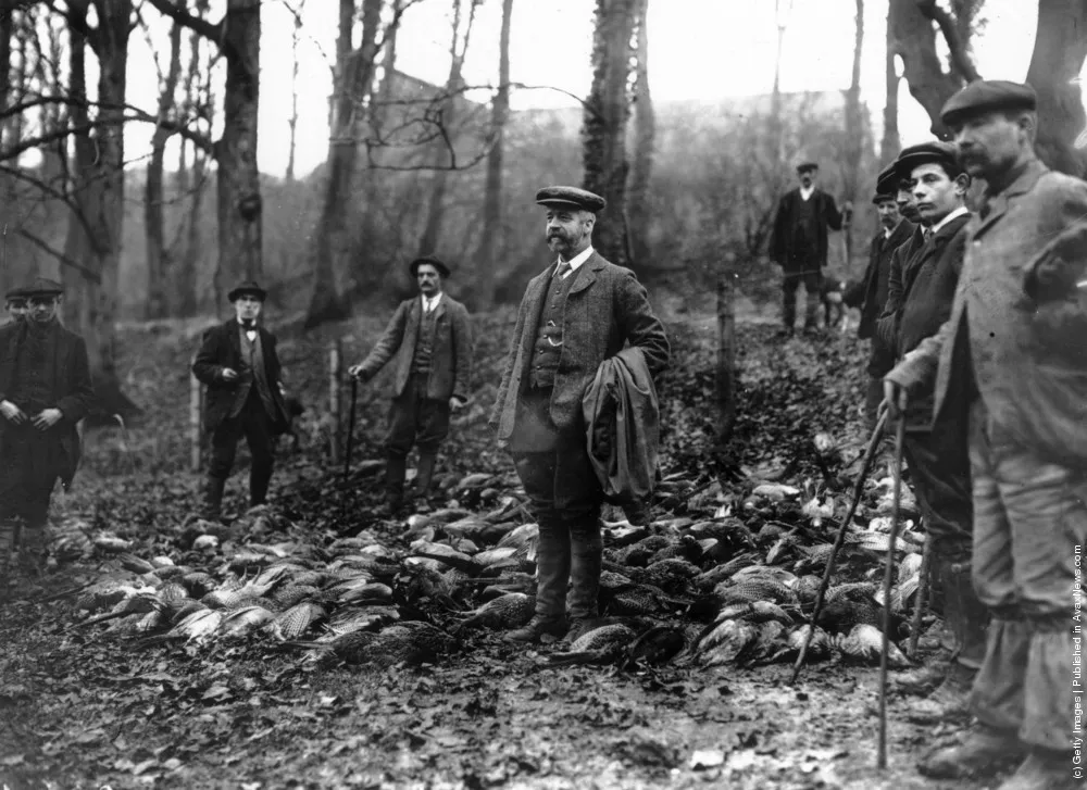 Hunting And Fishing. Part III