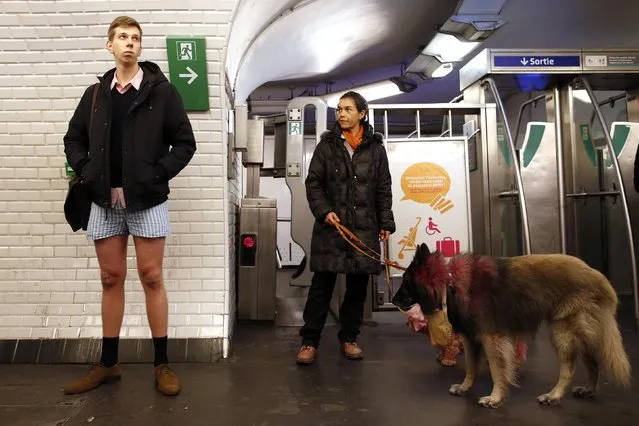 A passenger without his pants waits for a train during the “No Pants Subway Ride” event at a subway station in Paris January 12, 2014. (Photo by Benoit Tessier/Reuters)