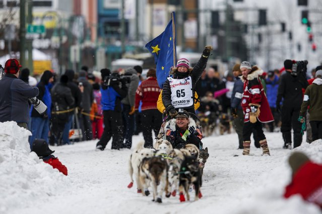 Miriam Osredkar and team leave the ceremonial start of the Iditarod Trail Sled Dog Race to begin the near 1,000-mile (1,600-km) journey through Alaska’s frigid wilderness in downtown Anchorage, Alaska March 5, 2016. (Photo by Nathaniel Wilder/Reuters)