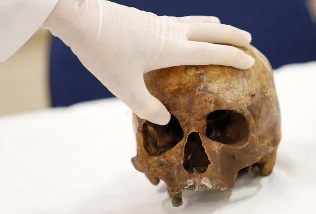 Forensic doctor Daniel Munoz displays the skull of Nazi war criminal Josef Mengele, the German doctor who conducted horrific experiments on thousands of Jews at Auschwitz, for students at the school of medicine of Sao Paulo University in Sao Paulo, Brazil, February 22, 2017. (Photo by Leonardo Benassatto/Reuters)