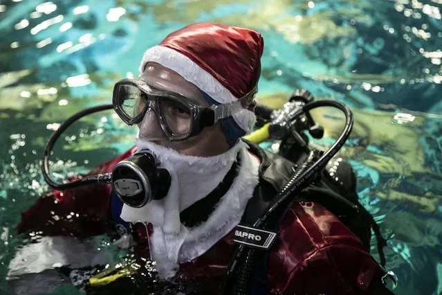 Aquarist Volmer Salvador prepares to swims inside a tank at the AquaRio aquarium dressed as Santa Claus costume in Rio de Janeiro, Brazil, Monday, December 20, 2021. (Photo by Bruna Prado/AP Photo)