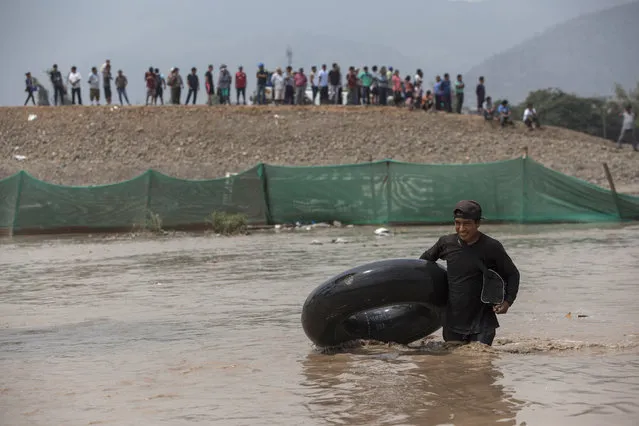 A man takes an inner tube onto a street flooded by the overflow of the Huaycoloro river in Lima, Peru, Thursday, March 16, 2017. (Photo by Rodrigo Abd/AP Photo)