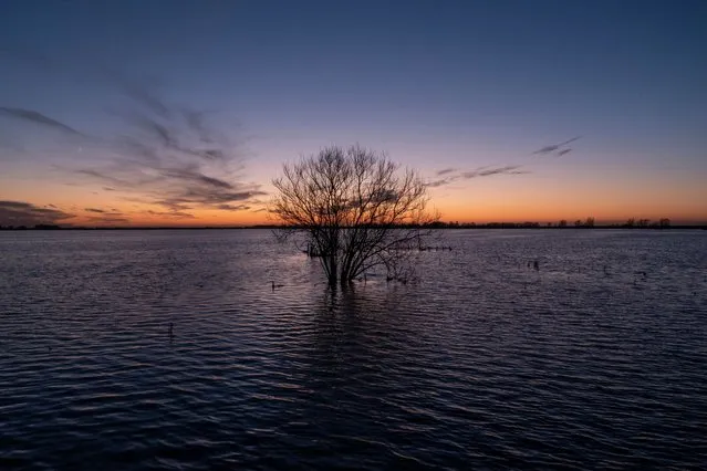 Trees stand in flood water at the Ouse Washes on January 04, 2022 in Welney, England. Unseasonably warm weather over the festive break is to be replaced by rain and freezing temperatures moving in from the north over the coming days. (Photo by Dan Kitwood/Getty Images)