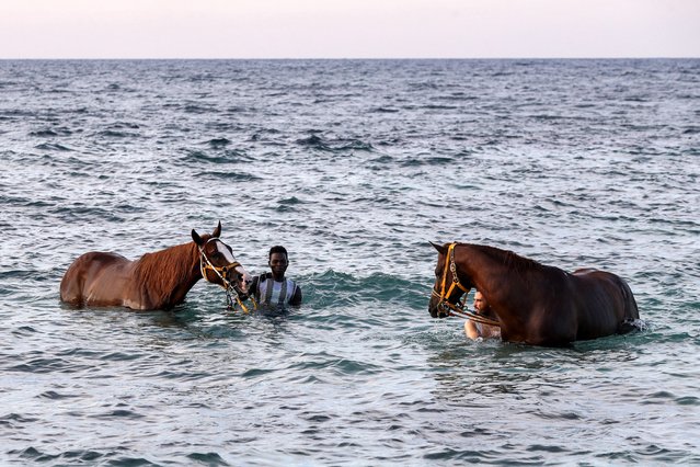 Men bathe two horses in the Mediterranean sea waters off a beach in Libya's western coastal city of Misrata on August 27, 2024. (Photo by Mahmud Turkia/AFP Photo)