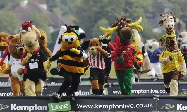 Mascots representing a variety of sports club and associations participate in the Mascot Grand National 2012 for Have a Heart Charity at Kempton Park race course in Sunbury on Thames, southern England May 7, 2012