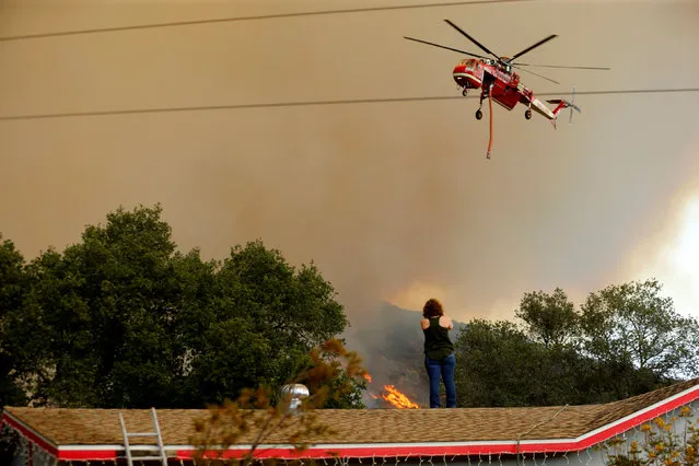 A home owner stands on the roof of her home as firefighters battle a wildfire as it burns near Potrero, California, U.S. June 20, 2016. (Photo by Mike Blake/Reuters)