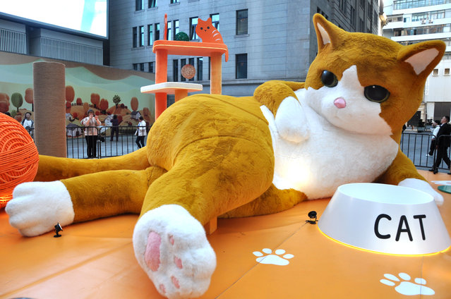 A giant art installation of a ginger cat in Shanghai, China on Thursday, November 28, 2024. (Photo by Wang Gang/Future Publishing via Getty Images)