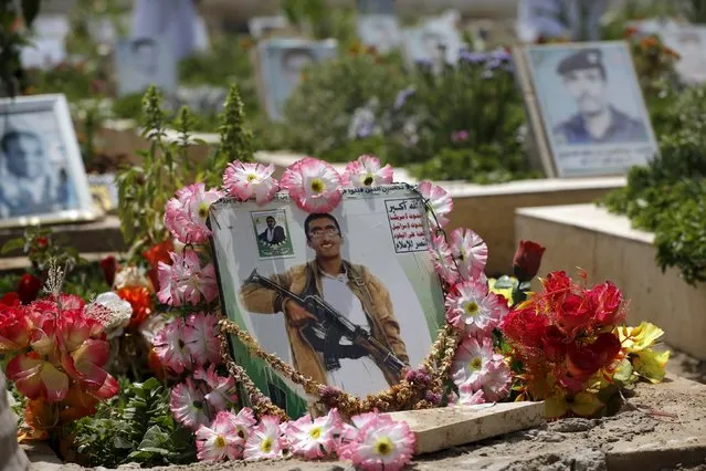 A picture of a Houthi militant is seen at his grave at a cemetery dedicated for Houthis killed in the ongoing conflict, in Yemen's capital Sanaa September 4, 2015. (Photo by Khaled Abdullah/Reuters)