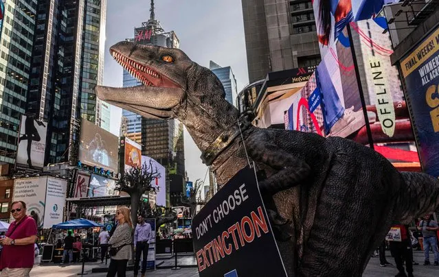 Frankie the Dinosaur, mascot of the United Nations Development Program “Don't Choose Extinction” visits Times Square spreading his climate-related message in New York on September 21, 2022. (Photo by Alex Kent/AFP Photo)