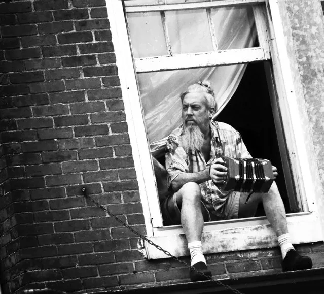 “Playful Observer”. A man sits in the window of his second-story apartment playing music while waiting for the parade to start. The parade was part of the Iron Horse Festival, which serves as a homecoming and celebration of heritage in New Haven, Kentucky. Photo location: New Haven, Kentucky, United States. (Photo and caption by Kacie Goode/National Geographic Photo Contest)